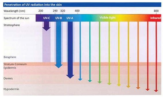 HORARIO SOLAR horario solar: