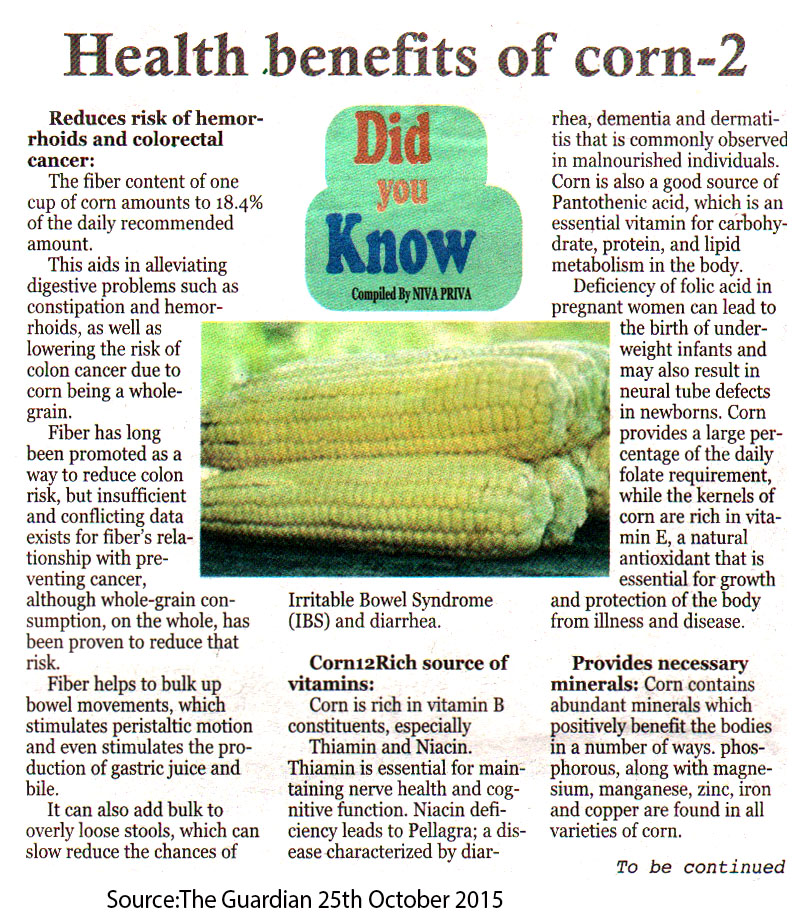 Vijanatz TV Health benefits of corn 2