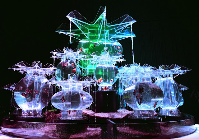 L’arte del pesce Kingyo per la prima volta in Italia, al Circolo Filologico Milanese Ponte di ferragosto: cosa fare a Milano e non solo da venerdì 14 agosto a domenica 16 agosto