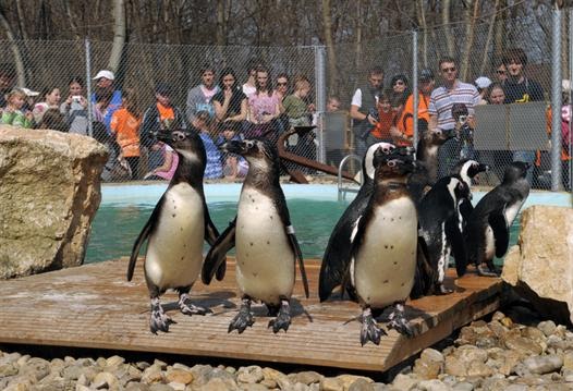 aqua park segedin