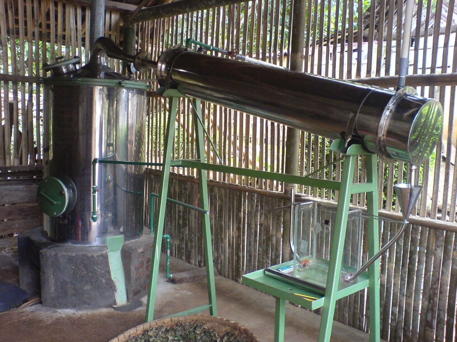 Pengusaha Minyak Kayu Putih Namlea, Menampik Raup Untung