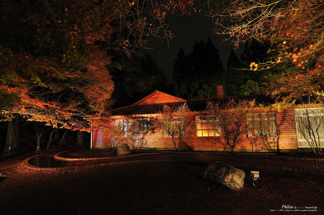 [台中] 福壽山農場松盧秋楓