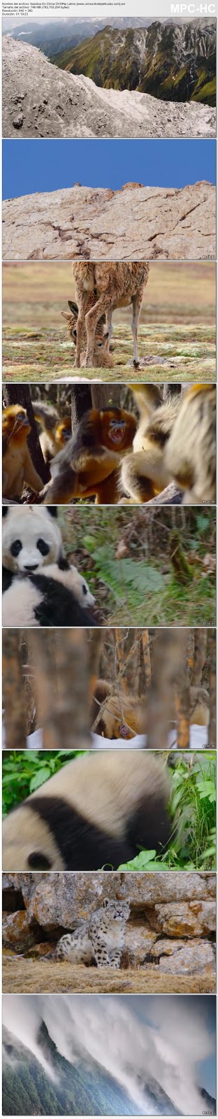 Capturas de la película.