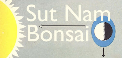 Sut Nam Bonsai