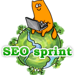 شرح seosprint