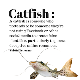 Catfish definition
