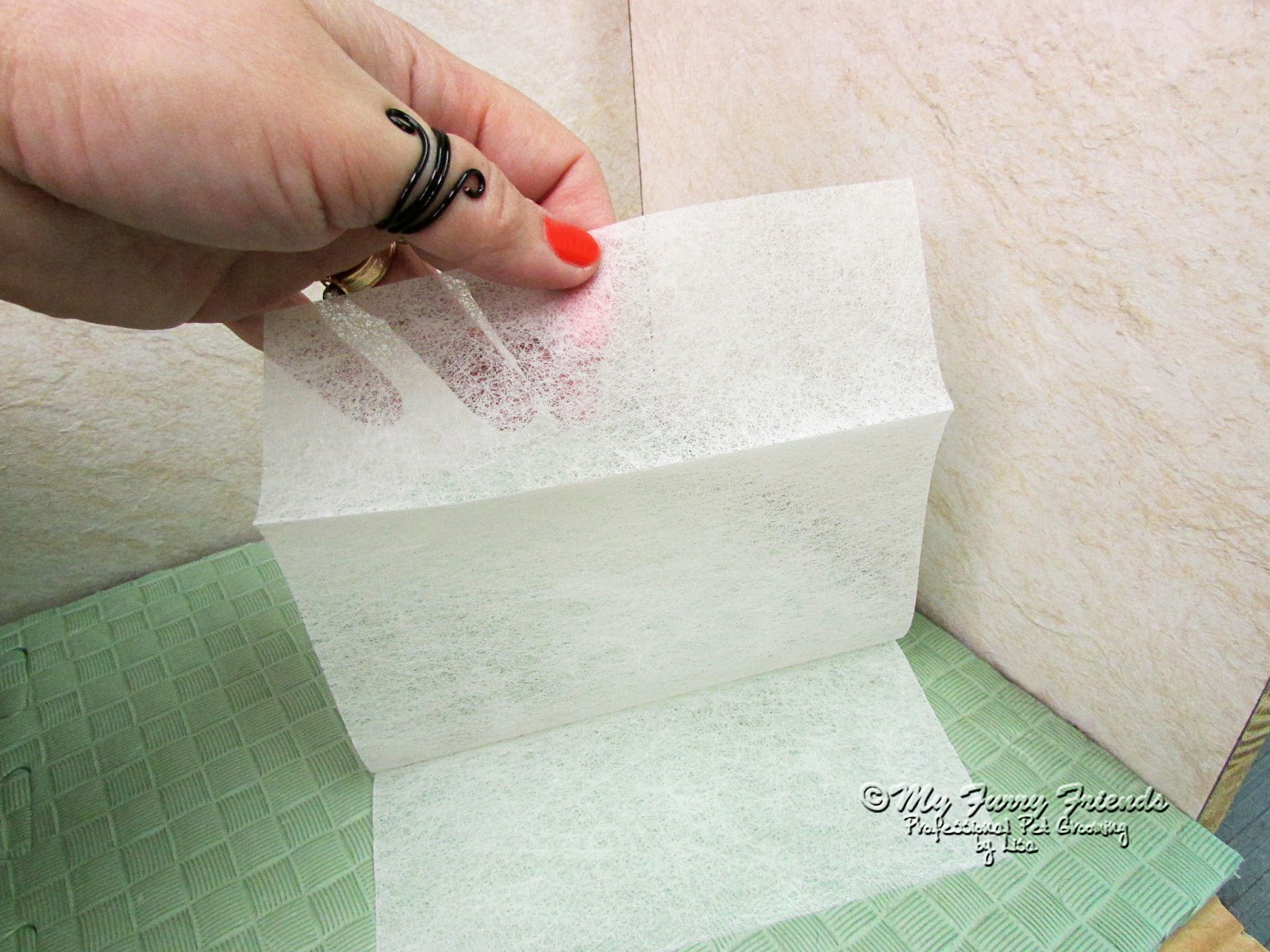 Pet Grooming The Good, The Bad, & The Furry Tuesdays Tip 46