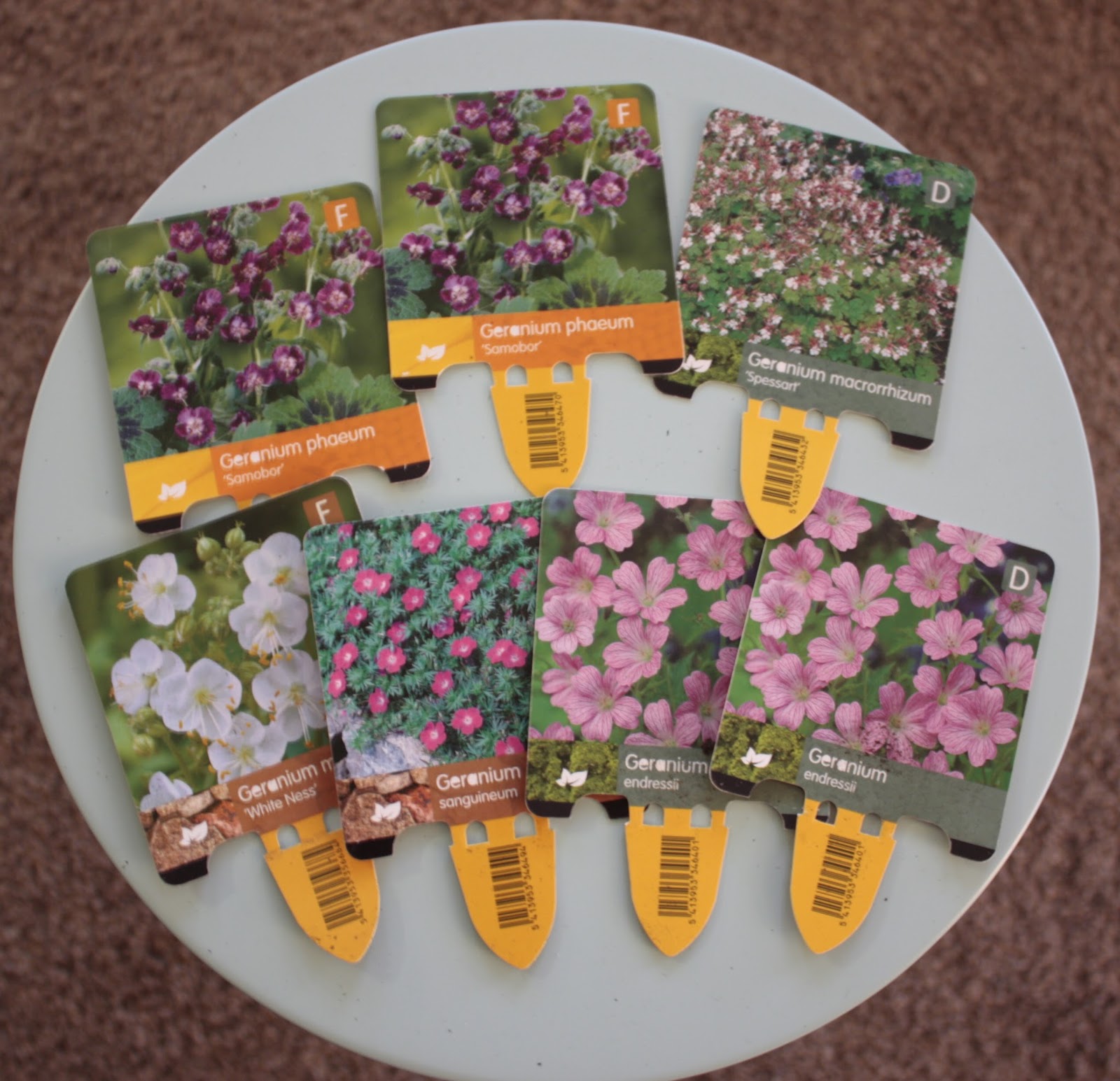 Gardening In The Extreme North Hvit Eleganse