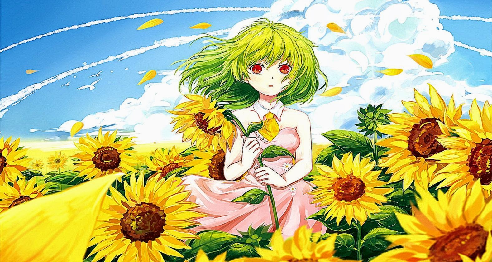 Girl Sunflowers Summer Anime Girl Sunflowers Summer Anime