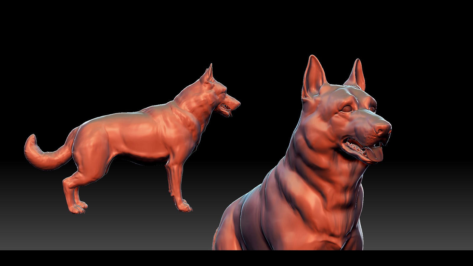 german_shepherd02.jpg