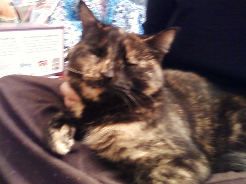 The Book Of Lael Let S Be Honest If You Read My Comic There Is