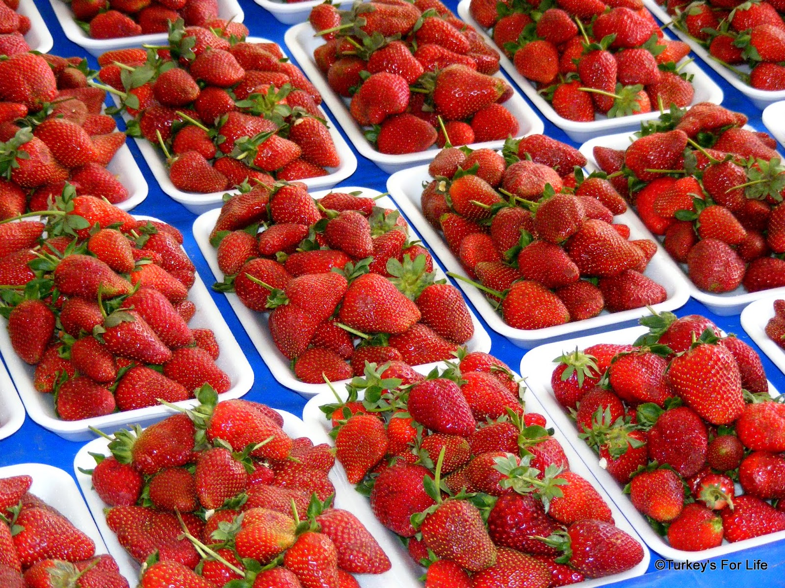 Fethiye Strawberries Seasonal Food • Turkey's For Life