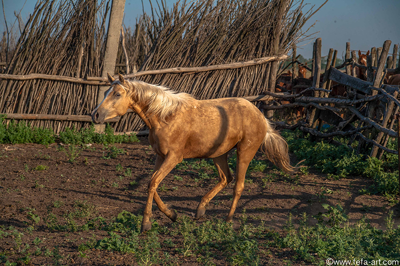 YY0P4727-17.jpg