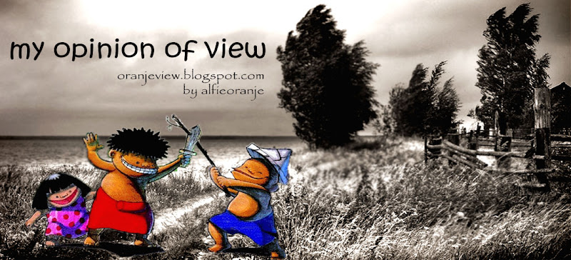 my opinion of view
