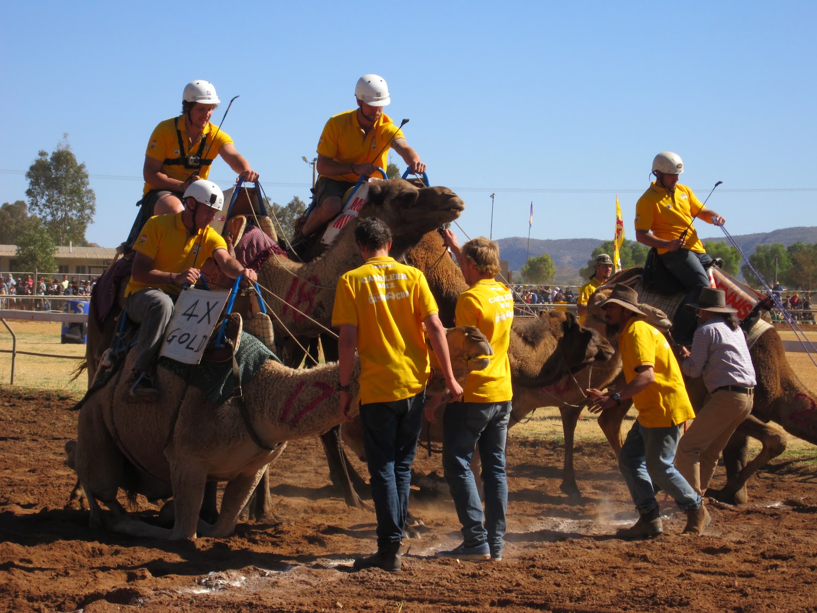 Dallas to Alice Life in the Outback Camel Races