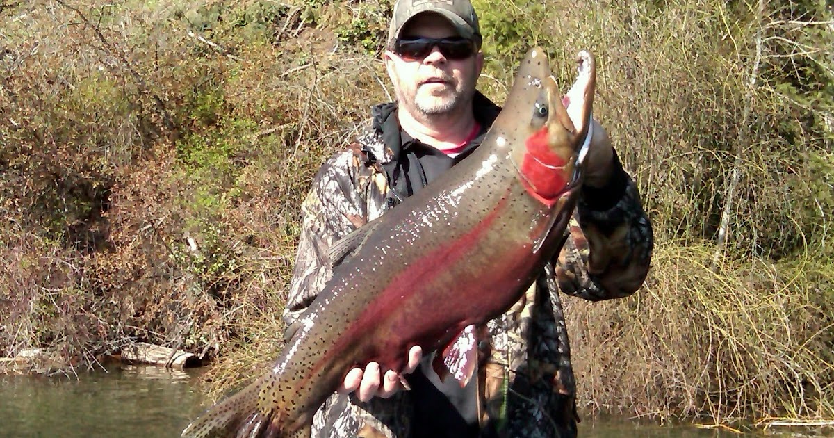 Forever Fishing Washington State Kamloops Trout