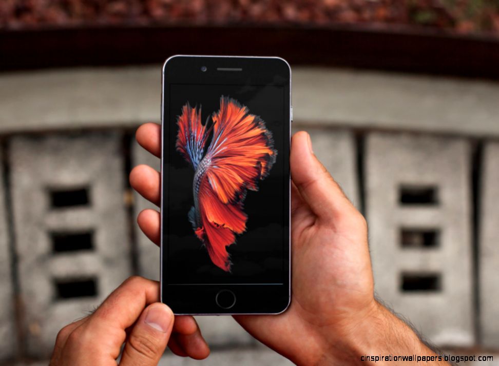 iPhone 6s still wallpaper images iPhone 6s still wallpaper images