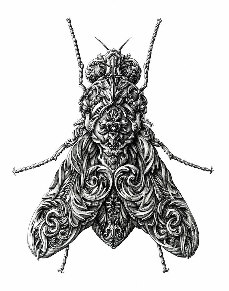 http://www.thisiscolossal.com/2013/11/new-ornate-insects-drawn-by-alex-konahin/