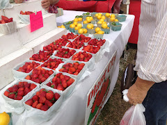 Plant City Strawberries