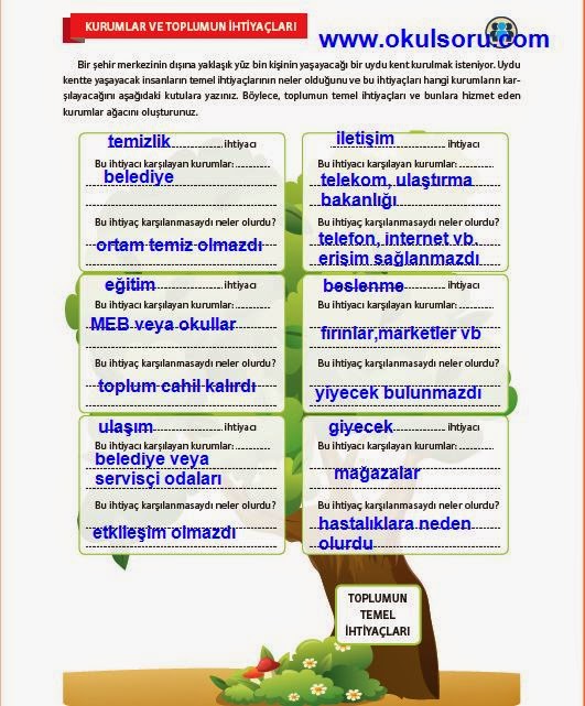 the moosewood