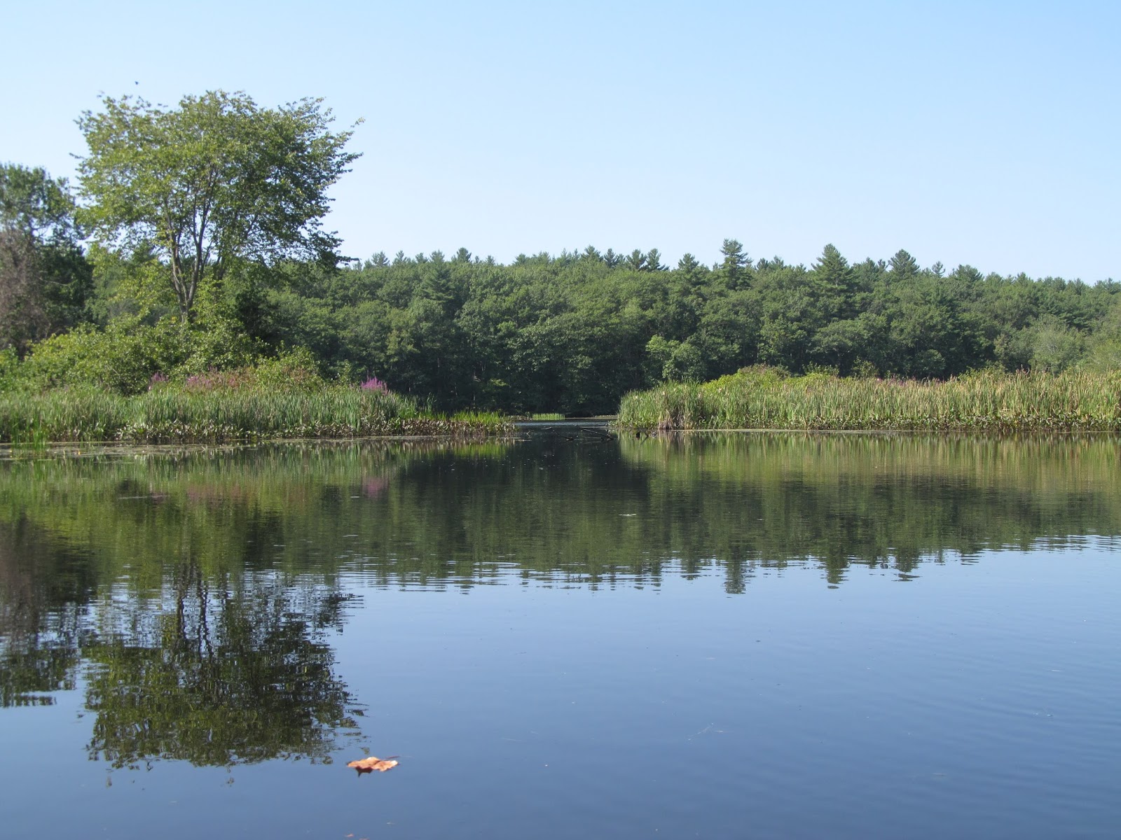 Recreational Kayaking in Maine Salmon Falls River, South Berwick, Maine/Rollinsford, New Hampshire