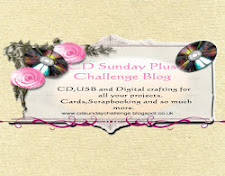 CD Sunday DT Member