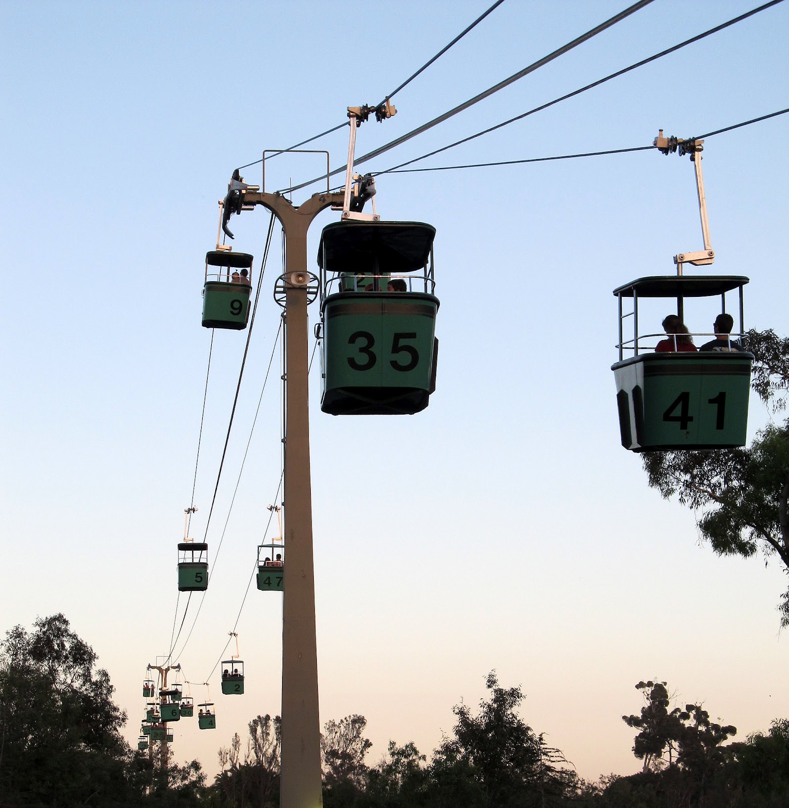 Life with Dylan Spend an extra hour at the San Diego Zoo this holiday