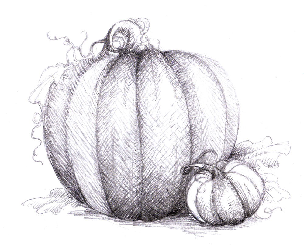 Blog: Pumpkin drawing.