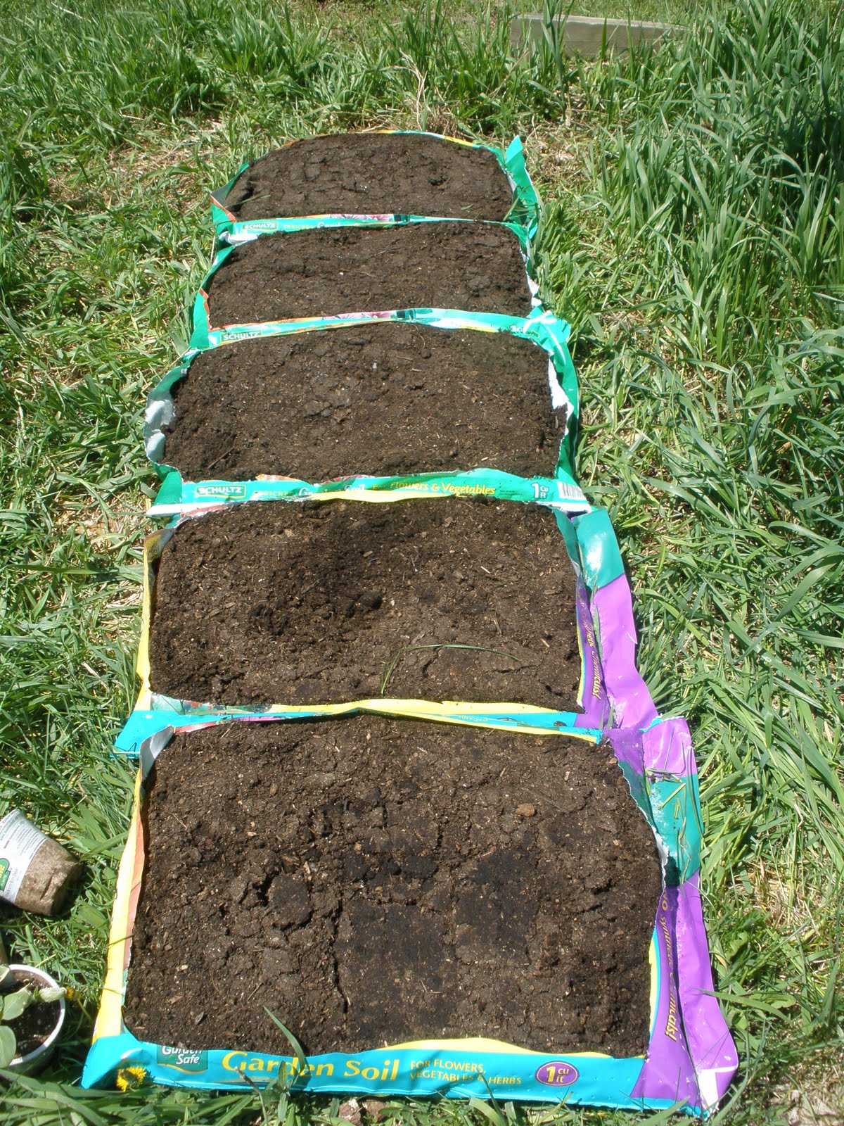 Harvest Moon by Hand Planting the Vegetable Garden