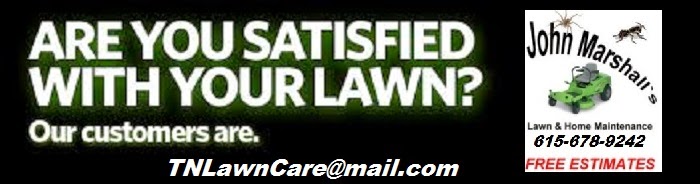 Tennessee Lawn Care Services