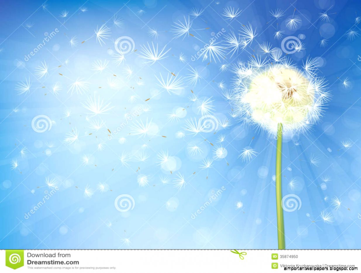 Vector Dandelion On Sky Background Stock Photo Image 35874950 Vector Dandelion On Sky Background Stock Photo Image 35874950