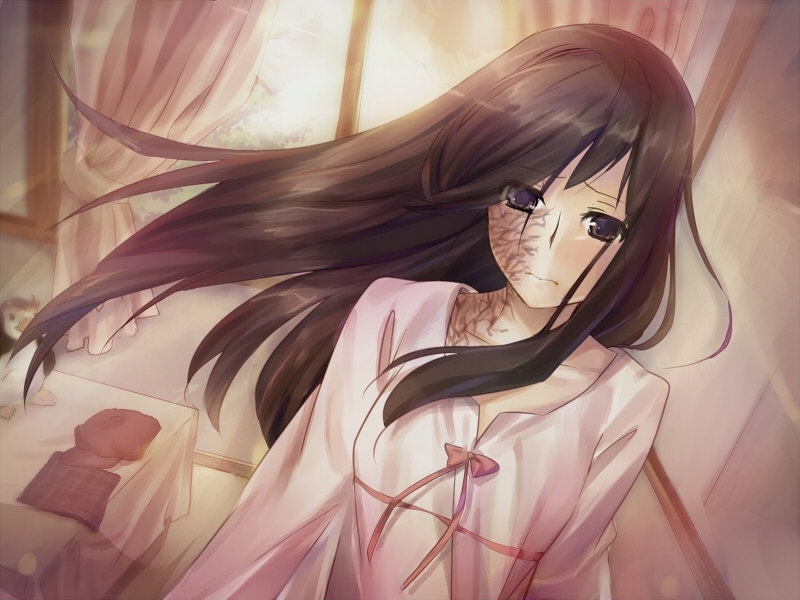 Hanako's path review at Katawa Shoujo Missing Spagonia