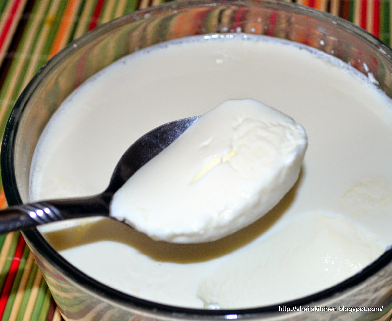 Shail de Cuisine Home Made Curd ( Dahi )