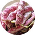 Borlotti Beans