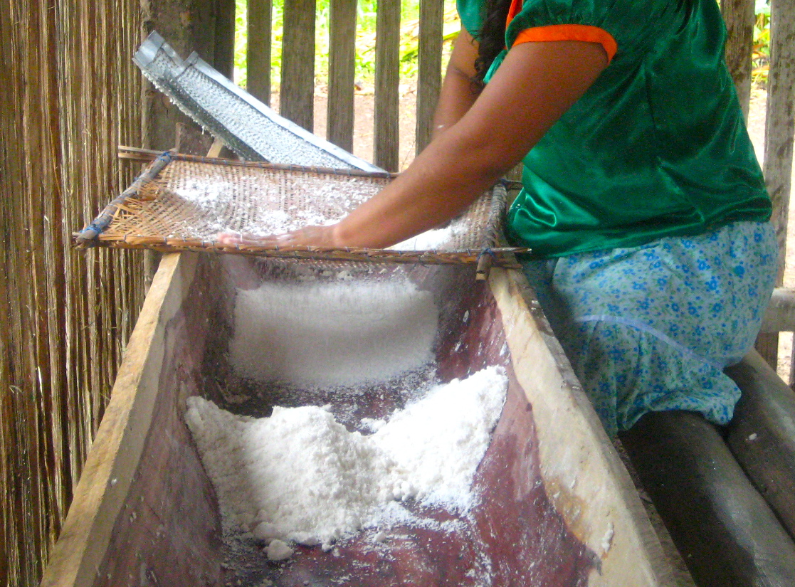 What's for dinner: Cassava bread In the Amazon