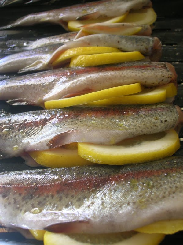 Rindy Mae Herb & Garlic Grilled Trout