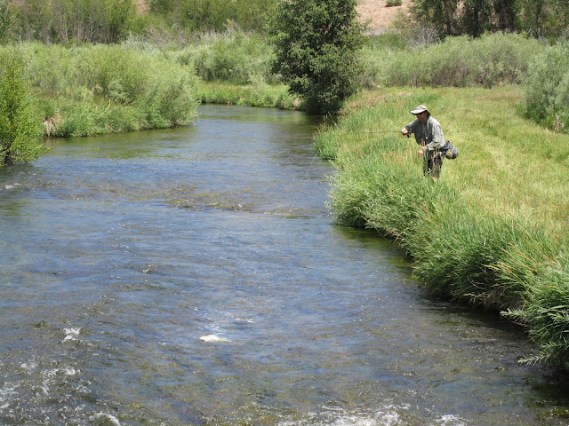 4+Jay+Scott+fishing+a+foam+hopper+for+trout+in+Colorado.JPG