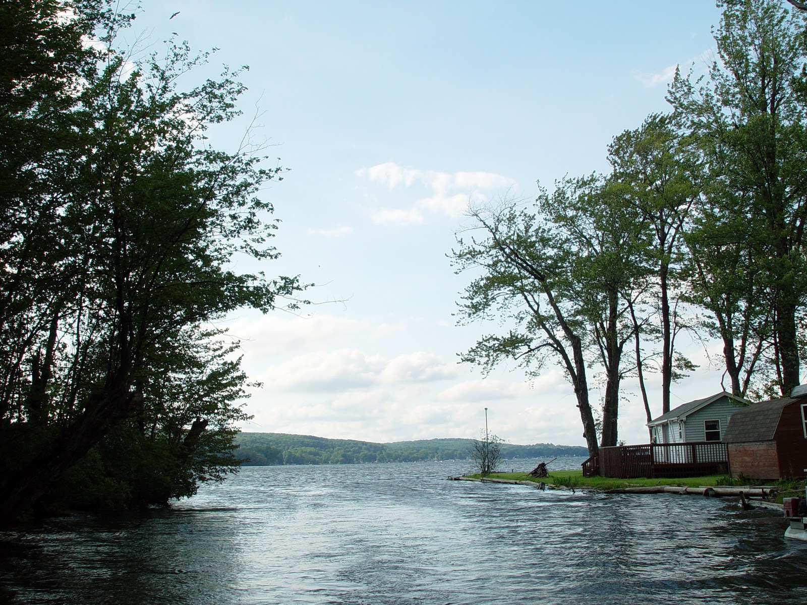 A Rose By Name November 2011