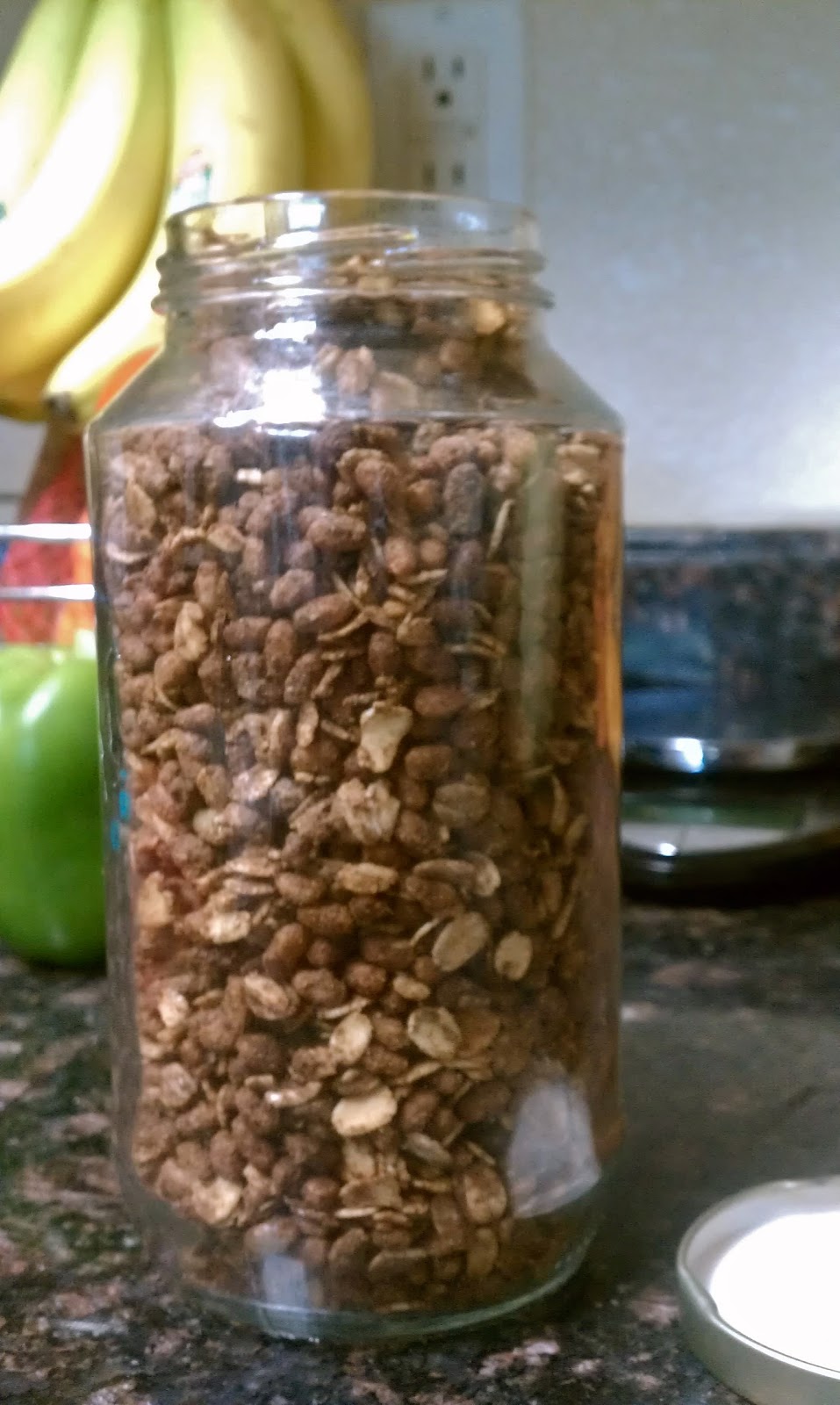 It Really Works! No Nuts Chocolate Granola