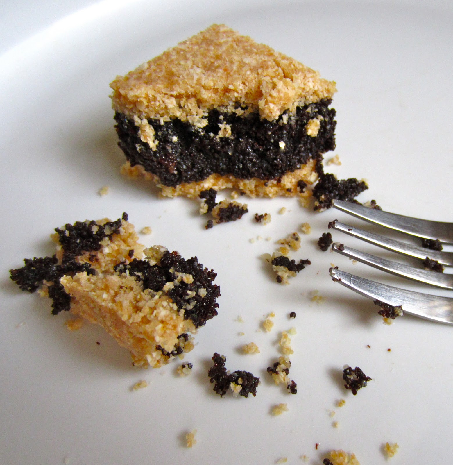 RAW Food for Truth Poppy Seed Bars