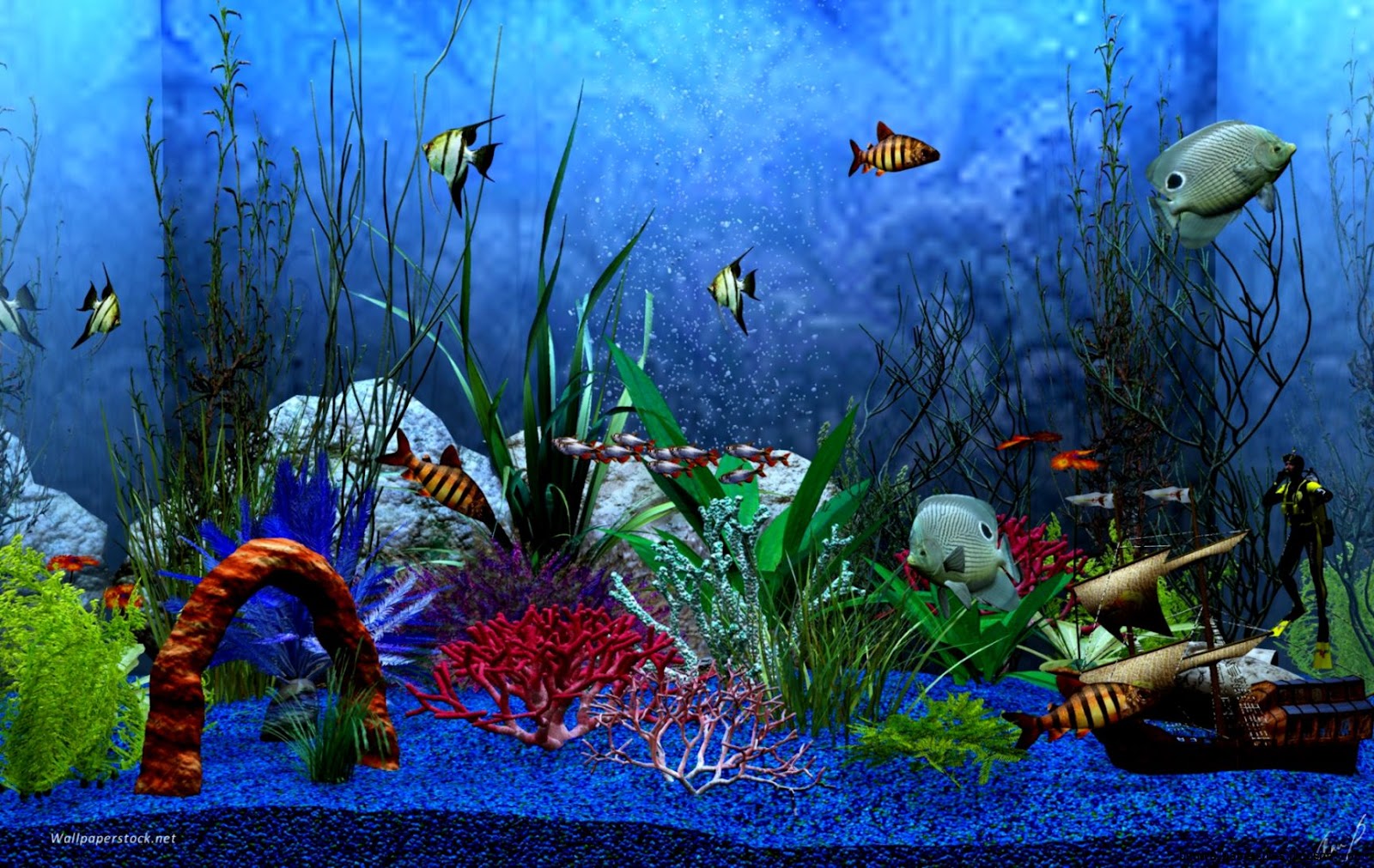 Fish Aquarium Desktop Animated Wallpapers Fish Aquarium Desktop Animated Wallpapers