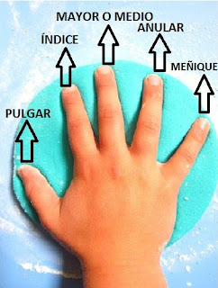 RINCONCITO DE LUZ - BLOG PARA NIVEL INICIAL: LOS DEDOS DE LA MANO