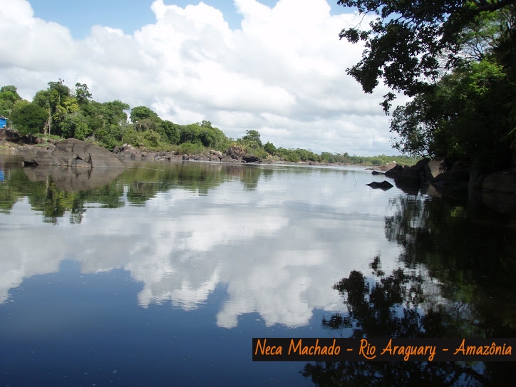 AMAZÔNIA