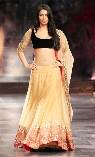 Ankita Shorey Sizzling Mix Photos Collection ~ Susu Gede Montok