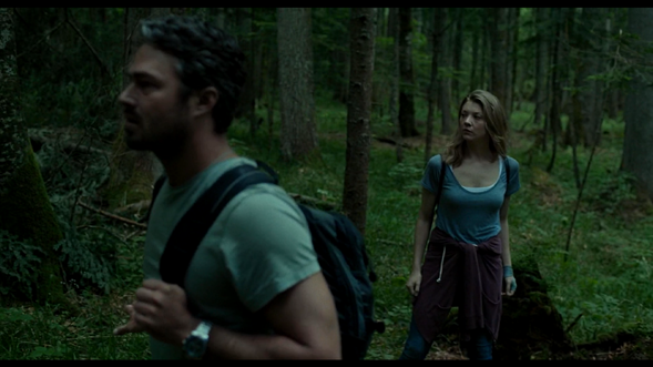 watch the forest full online watch the forest full online