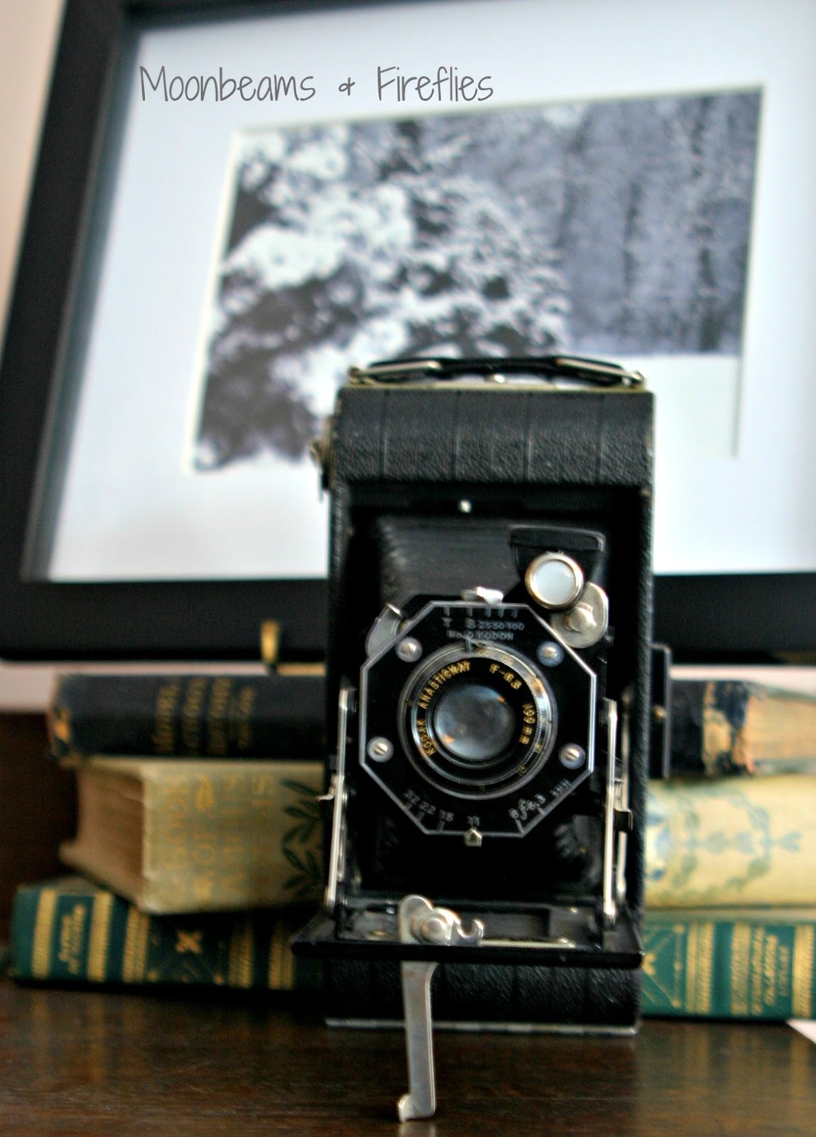 Moonbeams & Fireflies Vintage Cameras Collection or Decorating Element?