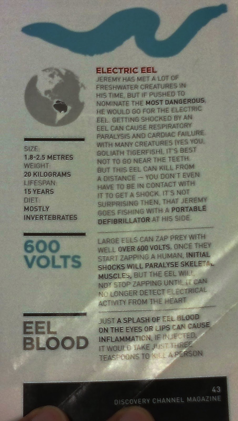 I'm Curious Too Eel's Blood Is Toxic To Humans, But Electric Eel's