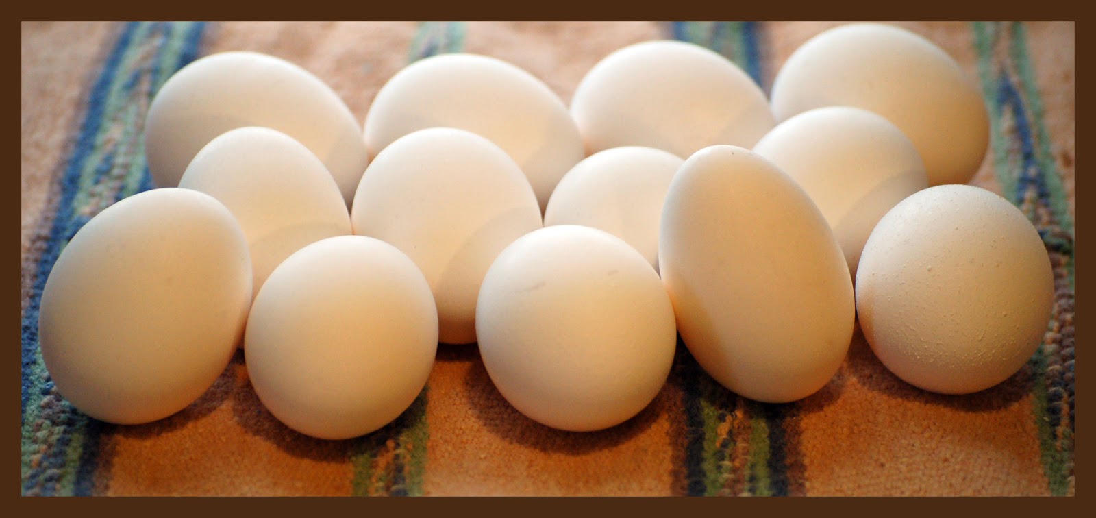 Dehydrating Way Beyond Jerky Egg Storage Chart