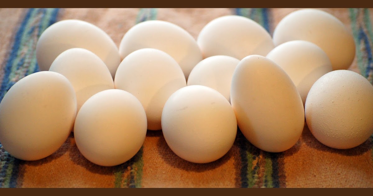 Dehydrating Way Beyond Jerky Egg Storage Chart