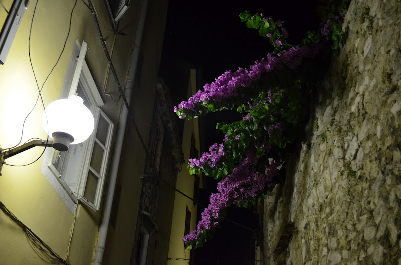 DSC_0798.JPG